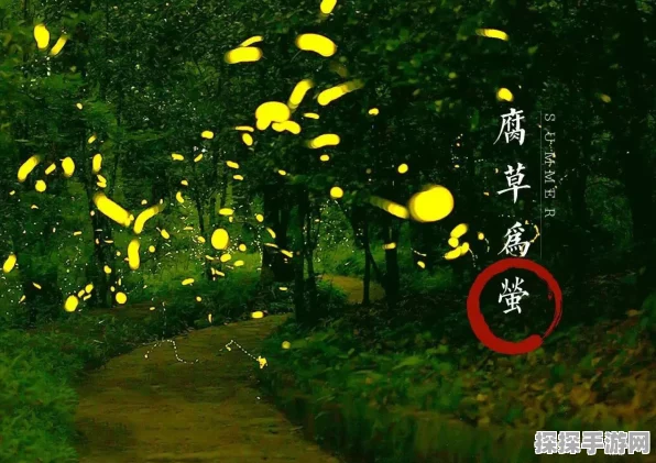 汉尘，腐草为萤——惊艳特色等你体验