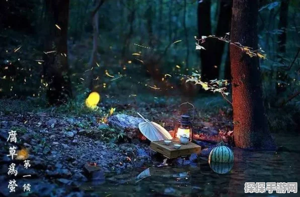 汉尘，腐草为萤——惊艳特色等你体验