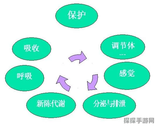 防晒与人体钙吸收的关系大揭秘
