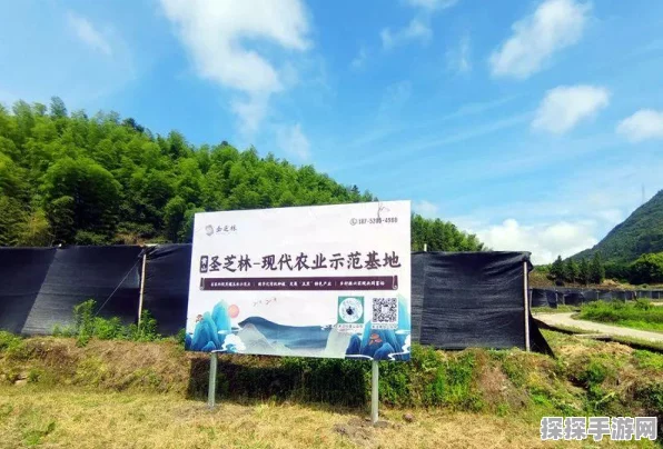 我的世界，打造神奇加速火把秘籍