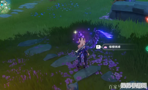 原神探秘，绯樱绣球的神秘获取之道