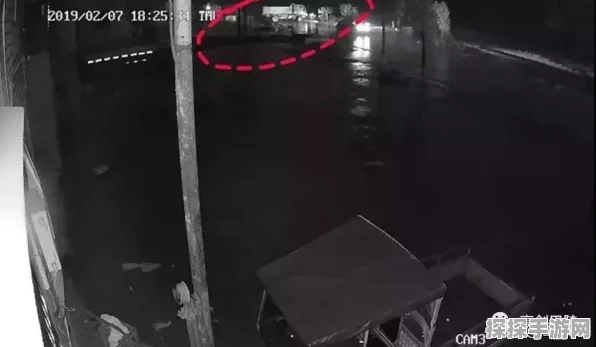 烟雨江湖金丝楠木探秘之旅