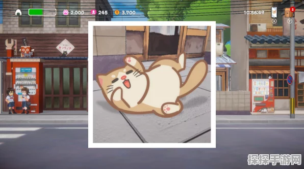探索美希与猫之岛的奇妙玩法