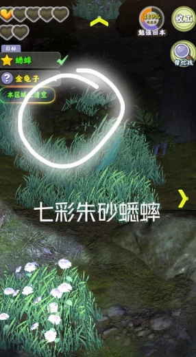 夺笋高手，解锁极光金珠的秘密途径