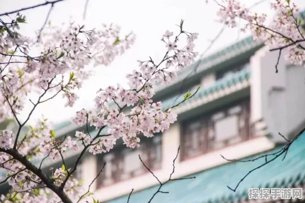 樱花校园，解锁化妆品的神秘途径