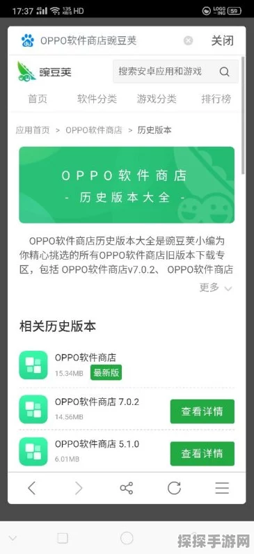 解决 Some Some 便利商店闪退难题秘籍