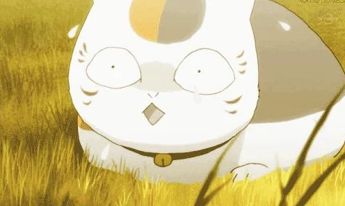 阴阳师，猫咪老师与酒吞童子联动套装探秘