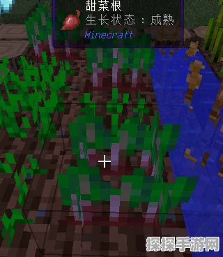 世界弹射物语，卑尔根深度解析