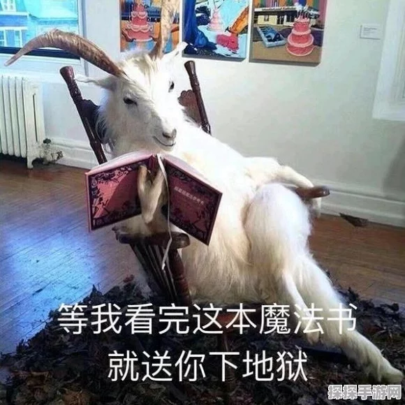 咩咩启示录探寻海湾大鱼神秘踪迹