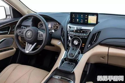 绝区零星见雅音最强擎搭配秘籍