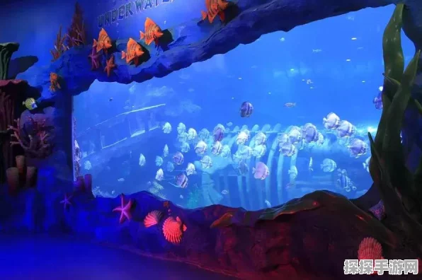 探秘幻海奇航，特色玩法大揭秘
