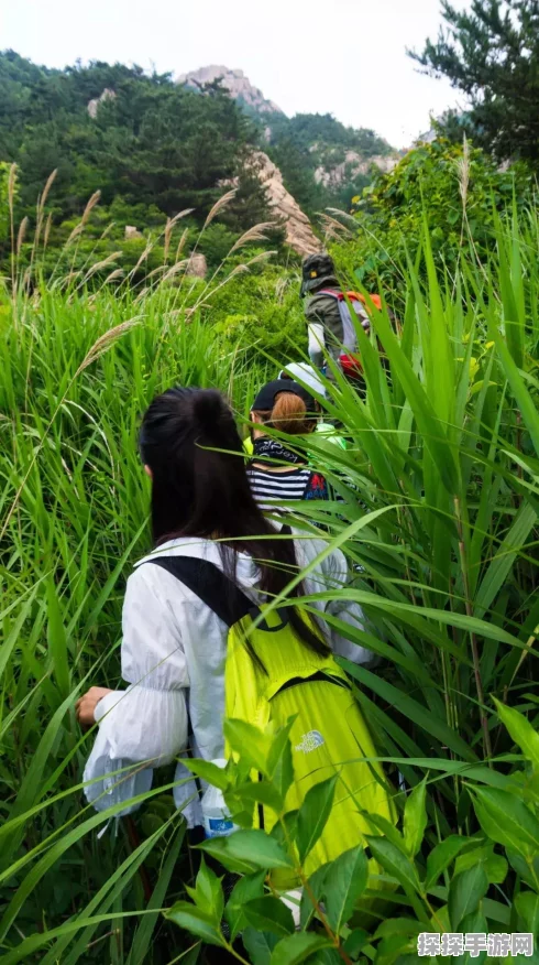 探秘，草剑武器获取秘籍