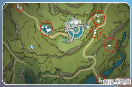 原神寻蕈兽秘籍，路线全解析