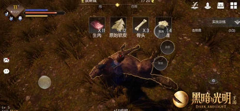 黑暗与光明手游，探寻干草丛的密集之地