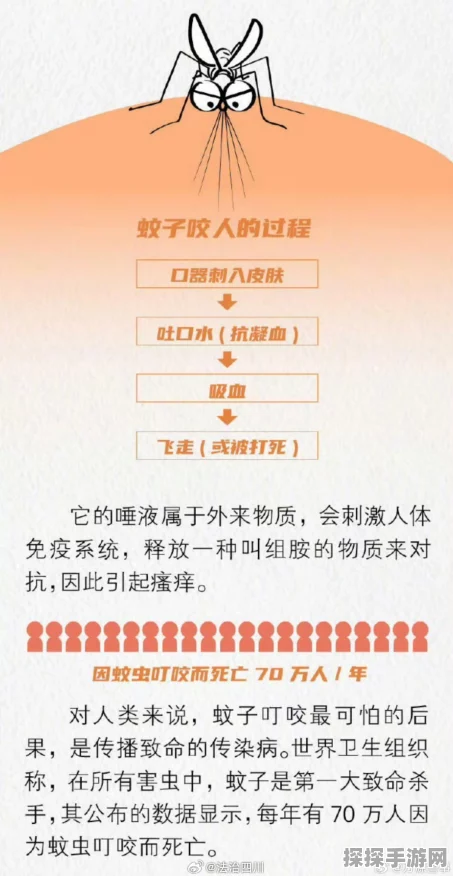 蚊子帮畅玩必备！配置详情全知晓