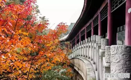 江南百景图凝雪桥，惊艳之美与独特魅力