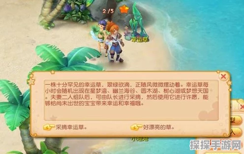 探秘，许愿任务通关秘籍