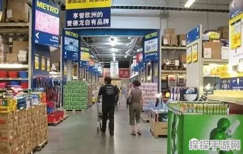 麦德龙会员信息轻松查，秘籍在此！